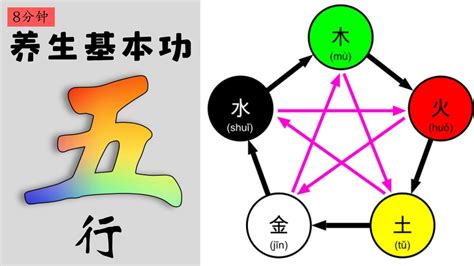 聚寶盆位置 五行 金木